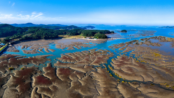 가로림만의 갯벌