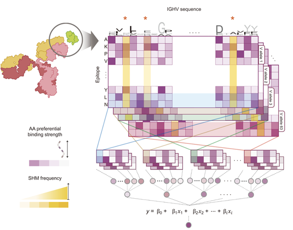 기술의 배경 모식도