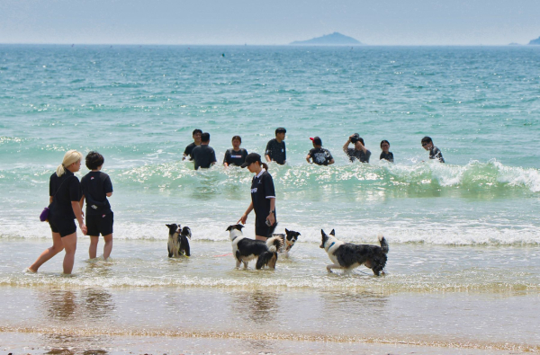 태안군 주요 관광지 사진