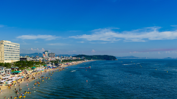 대천해수욕장 모습