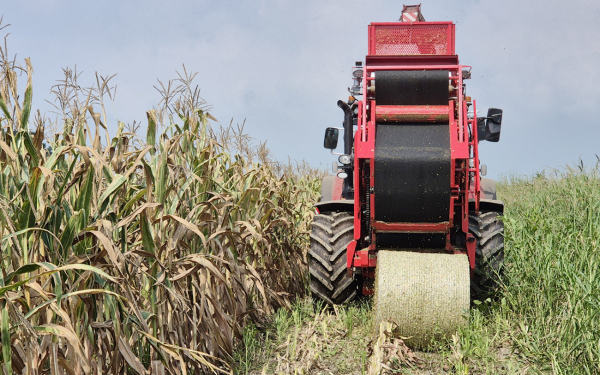 관내 농가가 옥수수 곤포사일리지를 생산하는 모습