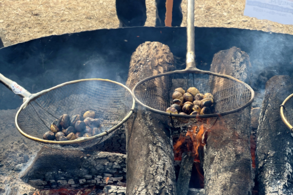 군밤축제장 스케치 모습