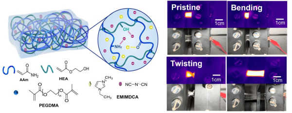 환경 안정성을 위한 비휘발성 이오노겔 전극을 활용한 고투명 고신축성 히터