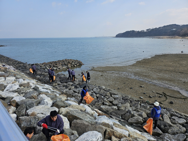 바닷가 대청결 활동 진행 모습