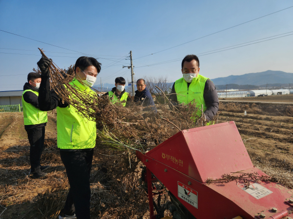 충남세종농협 임직원들이 파쇄기를 이용하여 영농부산물          폐기활동 모습