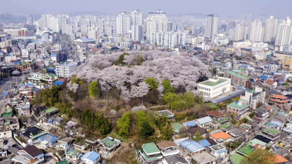 지난해 테미근린공원 전경