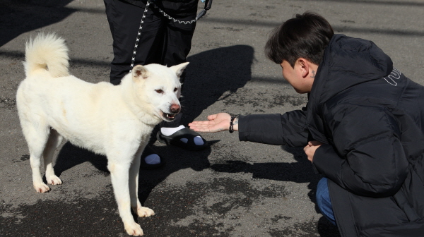 충남아산FC 사무국 직원, ‘블루포우’ 펫로깅 활동 실시