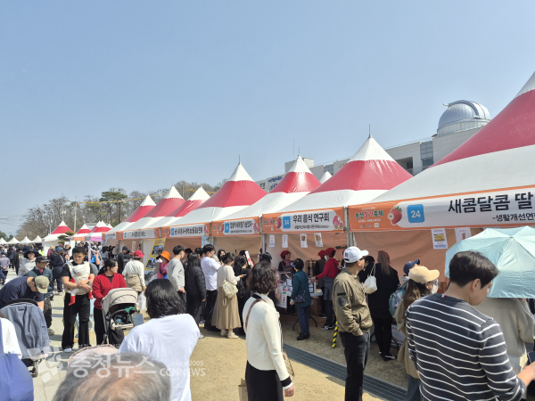 시에 따르면 이번 논산딸기축제는 나흘간 약 67만 여 명이 찾은 것으로 집계됐다. / 조홍기 기자