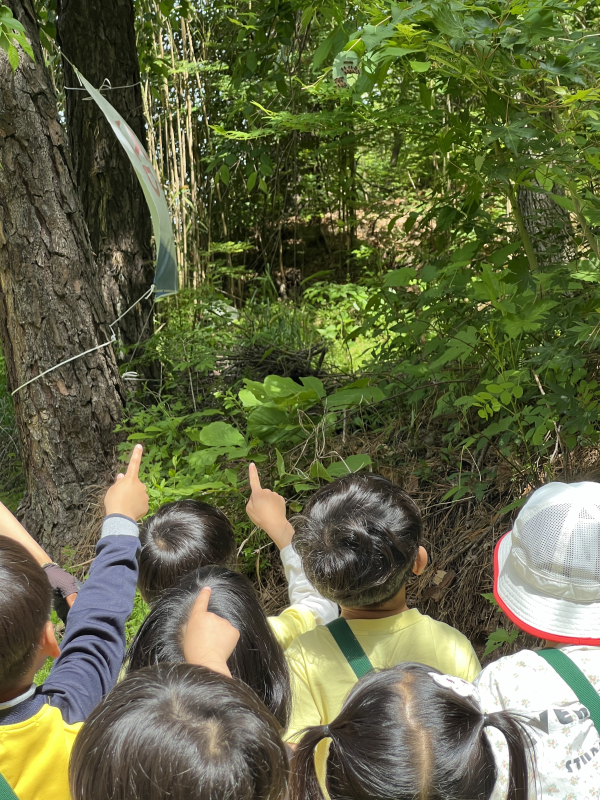 잎새숨결 자연놀이 진행 모습