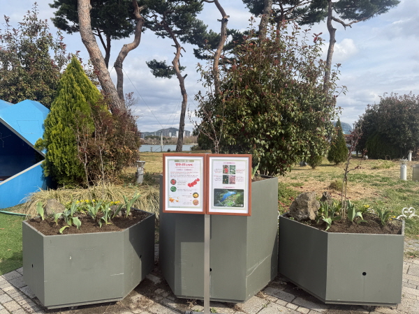 세종 호수공원 이달의 식물(4월) 전시