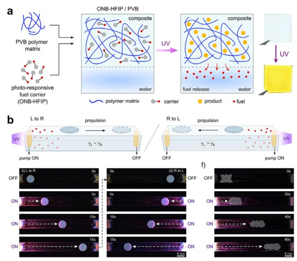 고분자 복합체 필름의 분해에 따른 연료 방출 메커니즘 및 광분해성 마이크로 펌프 성능