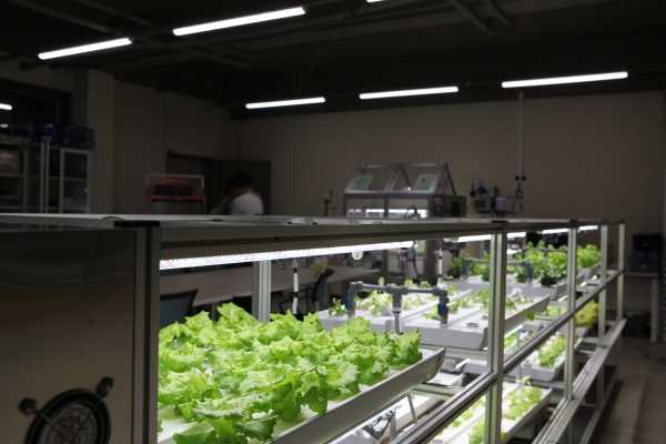 스마트팜 학과 실습실 모습