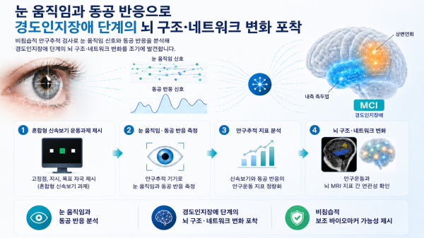 안구추적 기반 경도인지장애 뇌 구조·네트워크 변화 탐지 모식도
